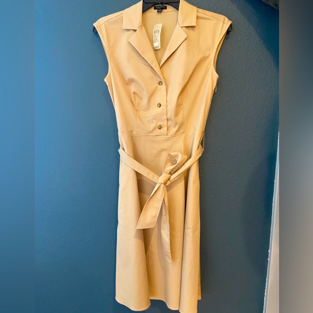 Ann Taylor elegant dress, professional, beige,